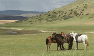 Mongolei: Reittrekking